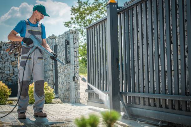 Best Rust Removal  in Pingree Grove, IL